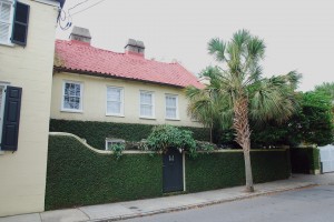 płot-obrośnięty-żywopłotem