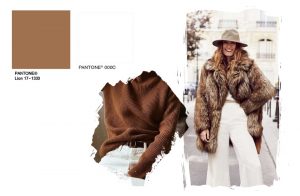 jakie kolory pasują do brązowego kolor brązowy do czego pasują do jakich ubrań nosić jak zestawiać z czym łączyć