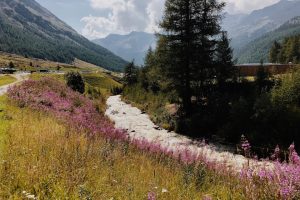 maso-corto-val-senales-top-residence-kurz-południowy-tyrol-latem-blog