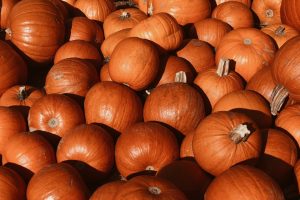 sejsja-na-farmie-dyń-gdańsk-granatowa-torebka-do-czego-nosić-do-czego-pasuje